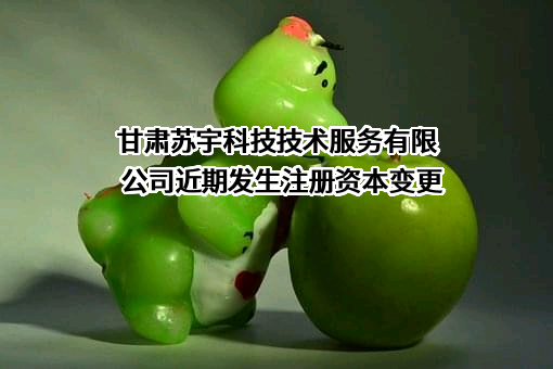 甘肃苏宇科技技术服务有限公司