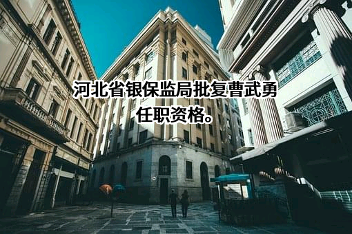 渤海财产保险股份有限公司