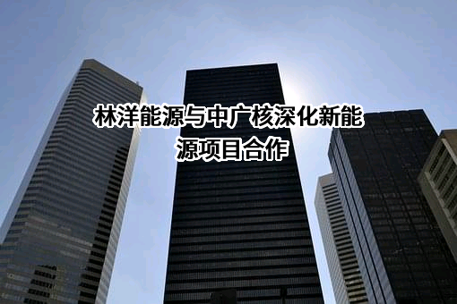 中国广核新能源控股有限公司