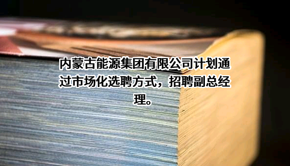 内蒙古能源集团有限公司