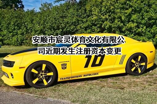 安顺市宸灵体育文化有限公司