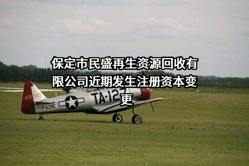 保定市民盛再生资源回收有限公司