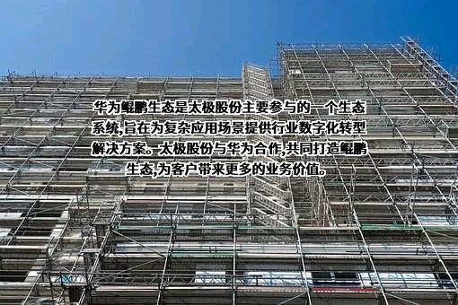 太极计算机股份有限公司