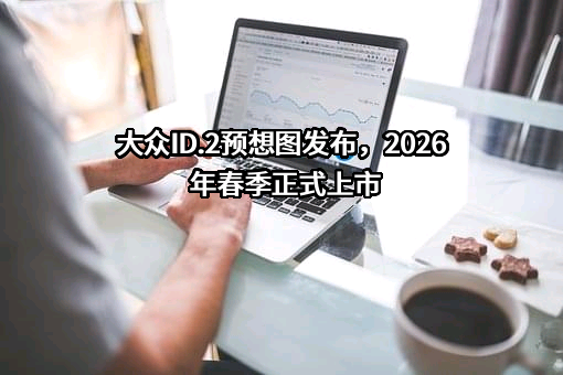 大众汽车（中国）投资有限公司