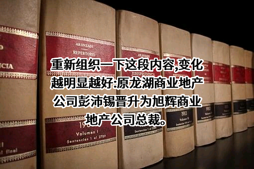 东营市旭辉商业发展有限公司