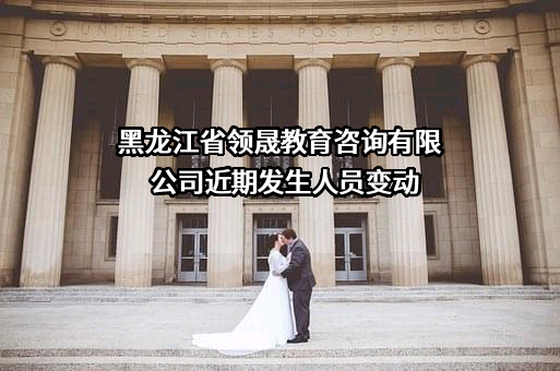 黑龙江省领晟教育咨询有限公司