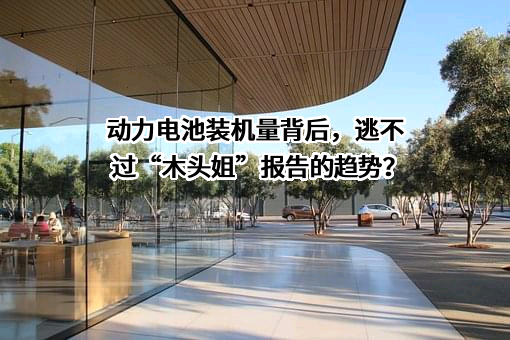 沈阳市星途汽车服务有限公司
