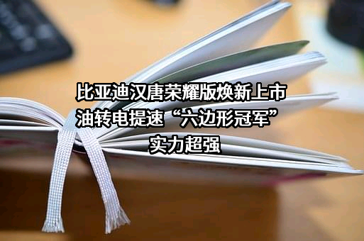 比亚迪股份有限公司