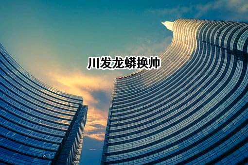四川发展龙蟒股份有限公司