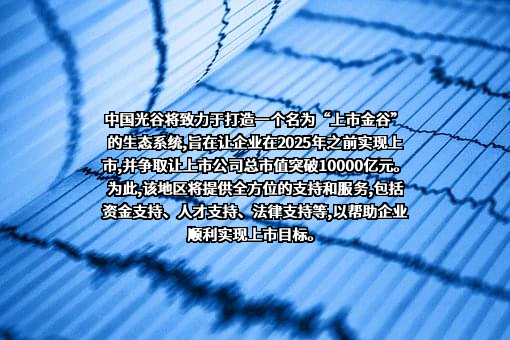 武汉中国光谷信息产业股份有限公司