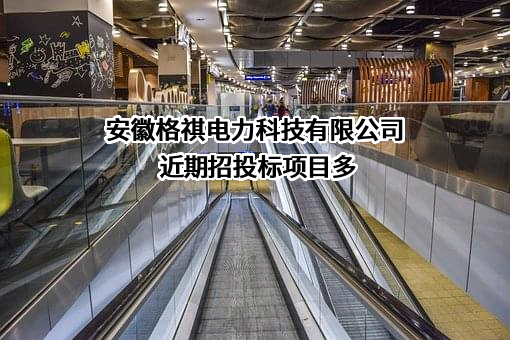 安徽格祺电力科技有限公司