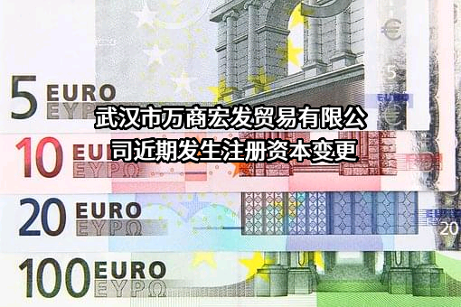 武汉市万商宏发贸易有限公司