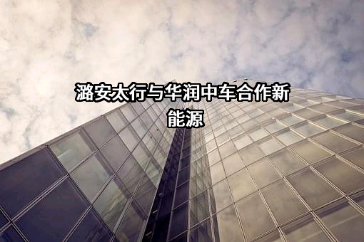 华润电力投资有限公司华中分公司