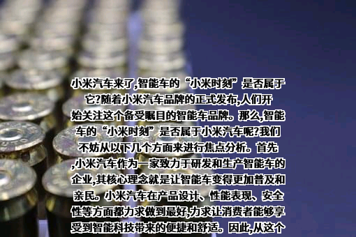 小米汽车有限公司