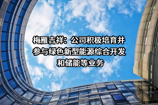 广东梅雁吉祥水电股份有限公司