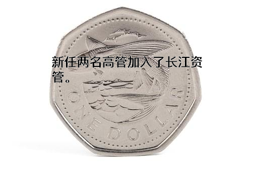 长江证券（上海）资产管理有限公司