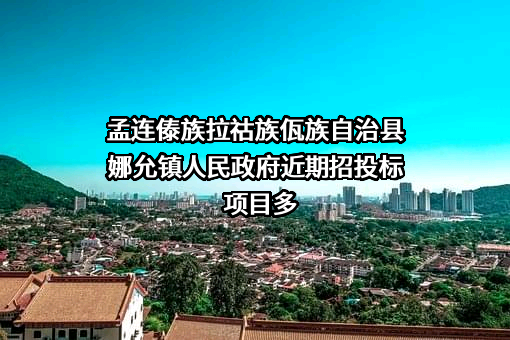 孟连傣族拉祜族佤族自治县娜允镇人民政府