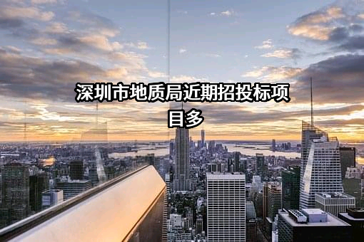 深圳市地质局近期招投标项目多