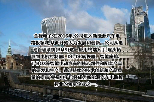 金禄电子科技股份有限公司