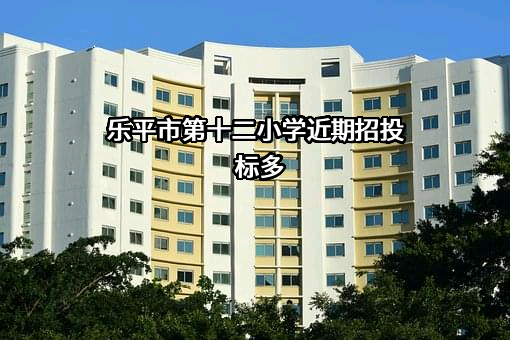 乐平市第十二小学近期招投标项目多
