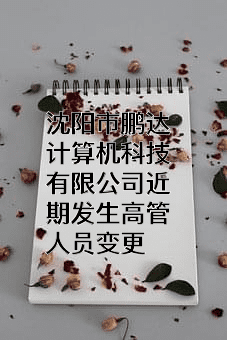 沈阳市鹏达计算机科技有限公司