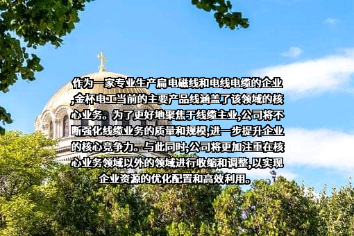 金杯电工股份有限公司