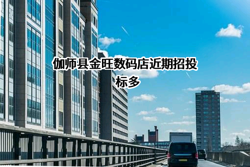 伽师县金旺数码店