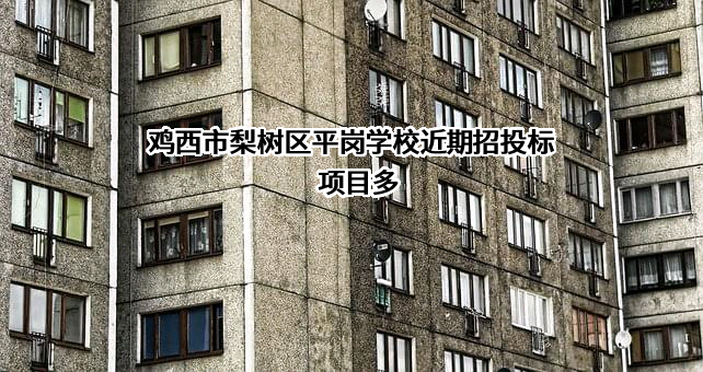 鸡西市梨树区平岗学校