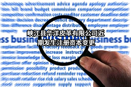 峡江县华洋皮革有限公司