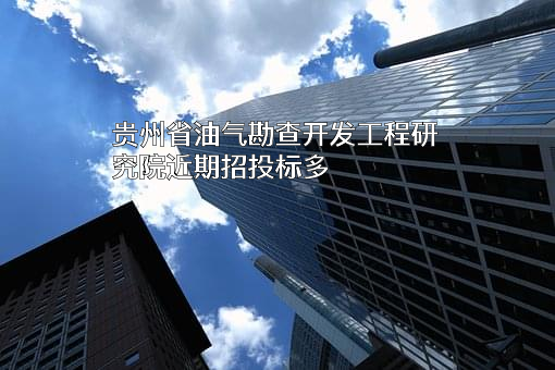 贵州省油气勘查开发工程研究院