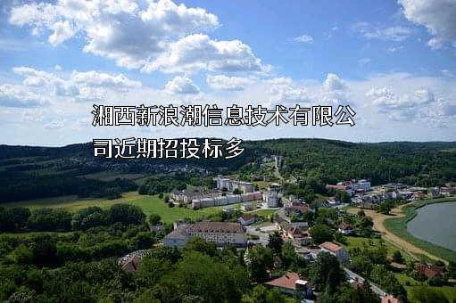 湘西新浪潮信息技术有限公司