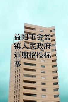 益阳市金盆镇人民政府