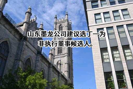 山东墨龙石油机械股份有限公司