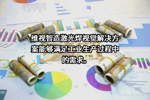 广西维视智造科技有限公司