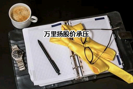 浙江万里扬股份有限公司