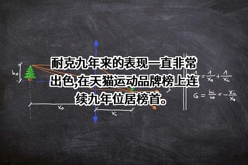 耐克商业（中国）有限公司