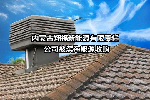 内蒙古翔福新能源有限责任公司