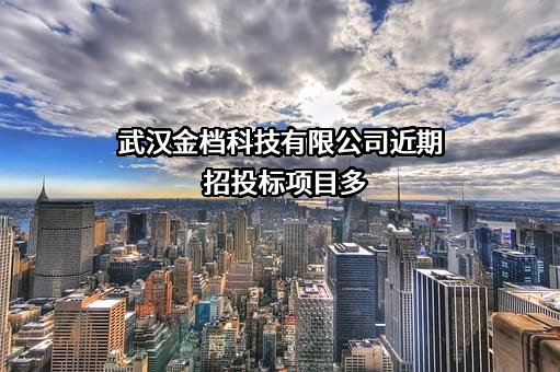 武汉金档科技有限公司近期招投标项目多