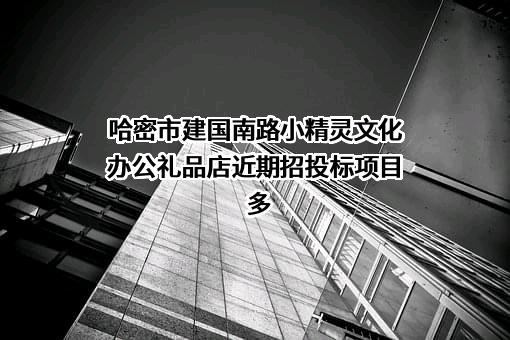 哈密市建国南路小精灵文化办公礼品店