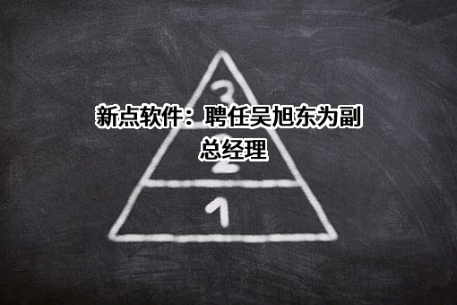 国泰新点软件股份有限公司
