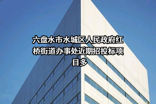 六盘水市水城区人民政府红桥街道办事处近期招投标项目多