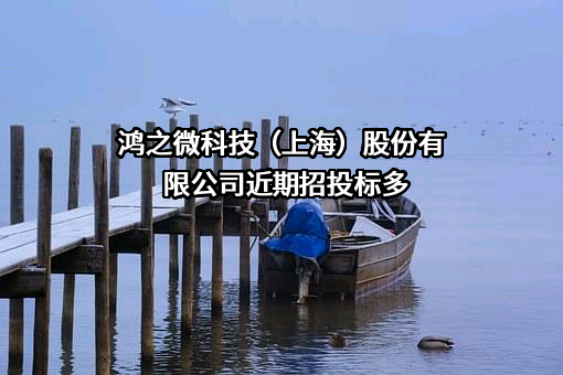 鸿之微科技（上海）股份有限公司