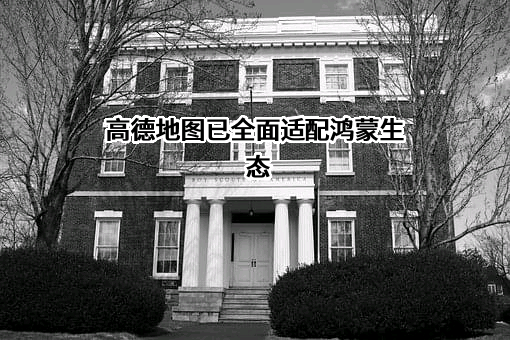 高德软件有限公司
