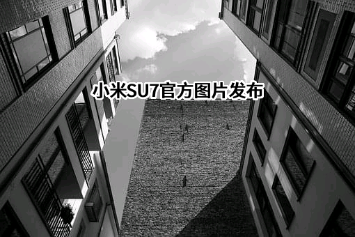 小米科技有限责任公司