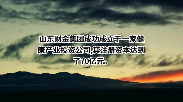 山东省财金投资集团有限公司