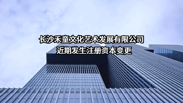 长沙禾童文化艺术发展有限公司