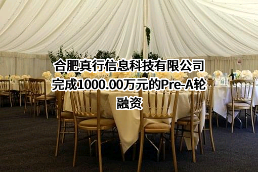 合肥真行信息科技有限公司