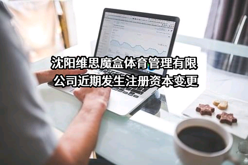 沈阳维思魔盒体育管理有限公司