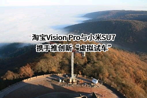 淘宝（中国）软件有限公司
