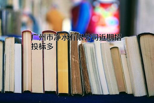 广州市净水有限公司